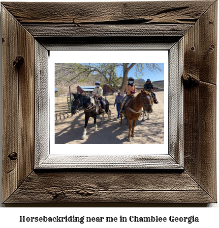 horseback riding near me in Chamblee, Georgia